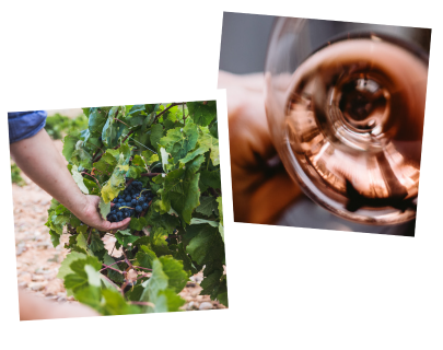 WE TASTE 40,000 BOTTLES A YEAR SO YOU CAN TASTE THE BEST WE TASTE 40,000 BOTTLES A YEAR SO YOU CAN TASTE THE BEST